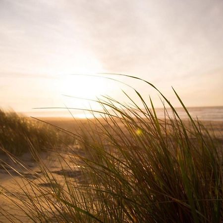 Grosse Nordseewelle Ohne Hund Norden Buitenkant foto