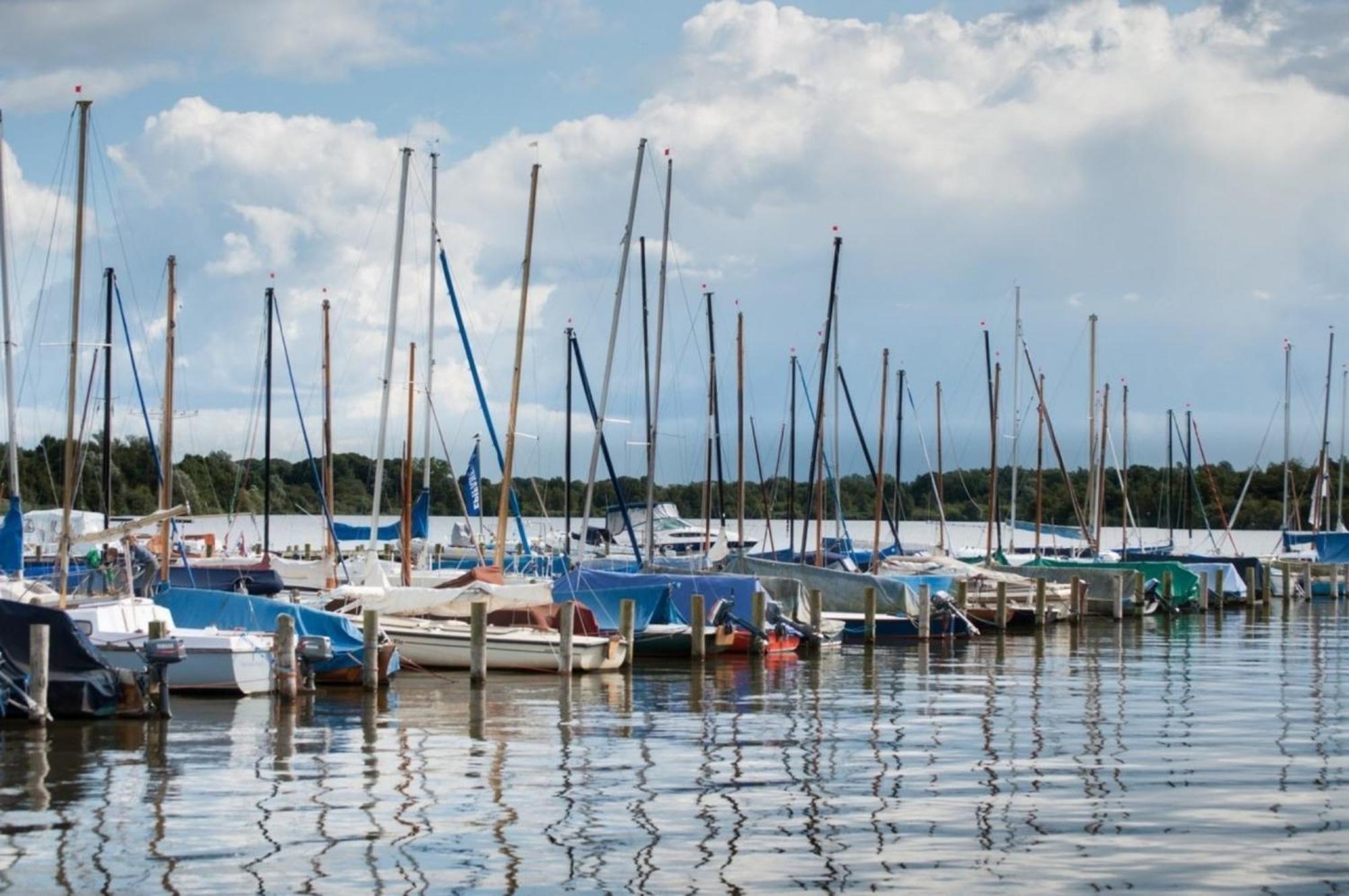 Grosse Nordseewelle Ohne Hund Norden Buitenkant foto
