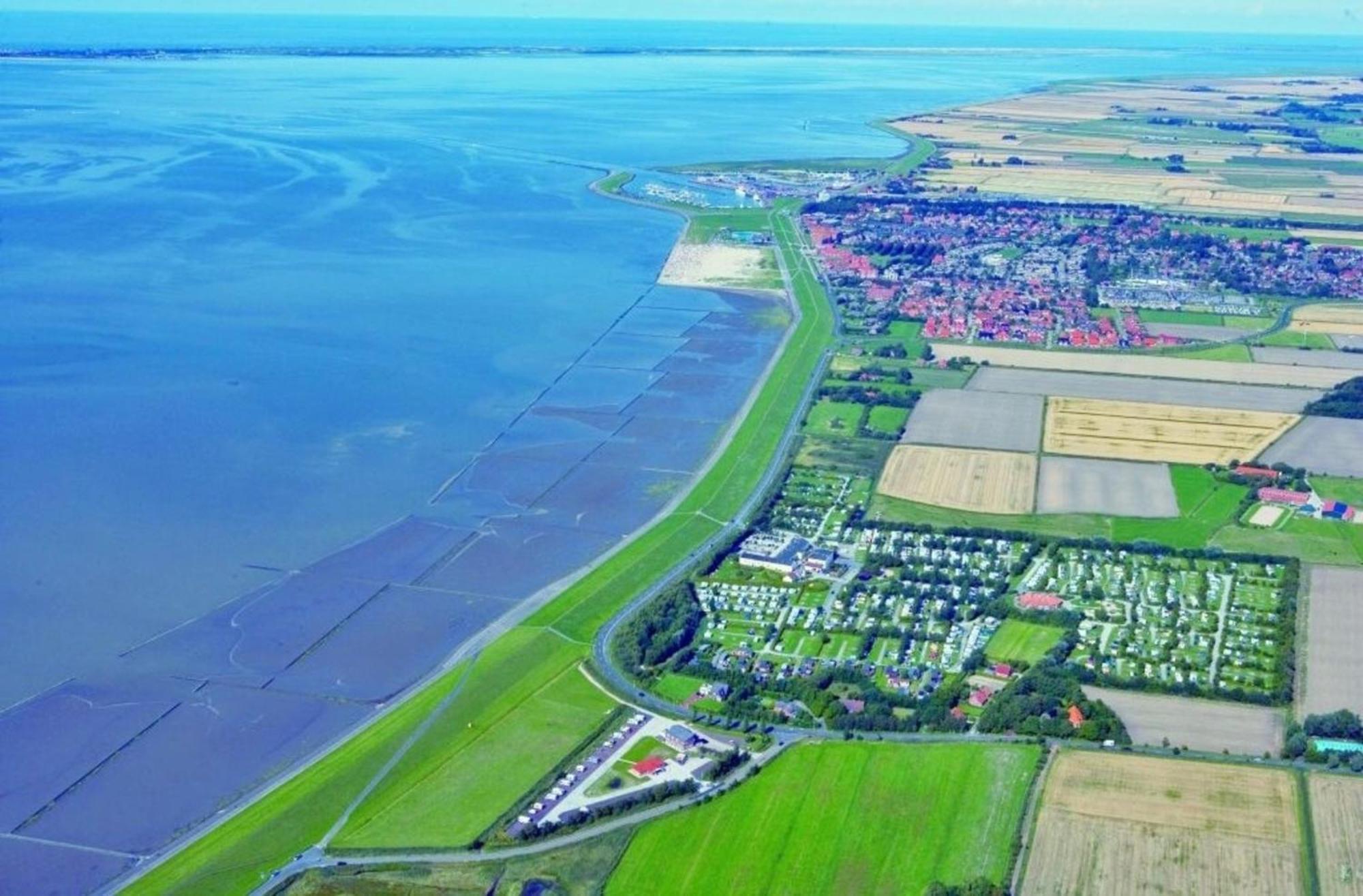 Grosse Nordseewelle Ohne Hund Norden Buitenkant foto