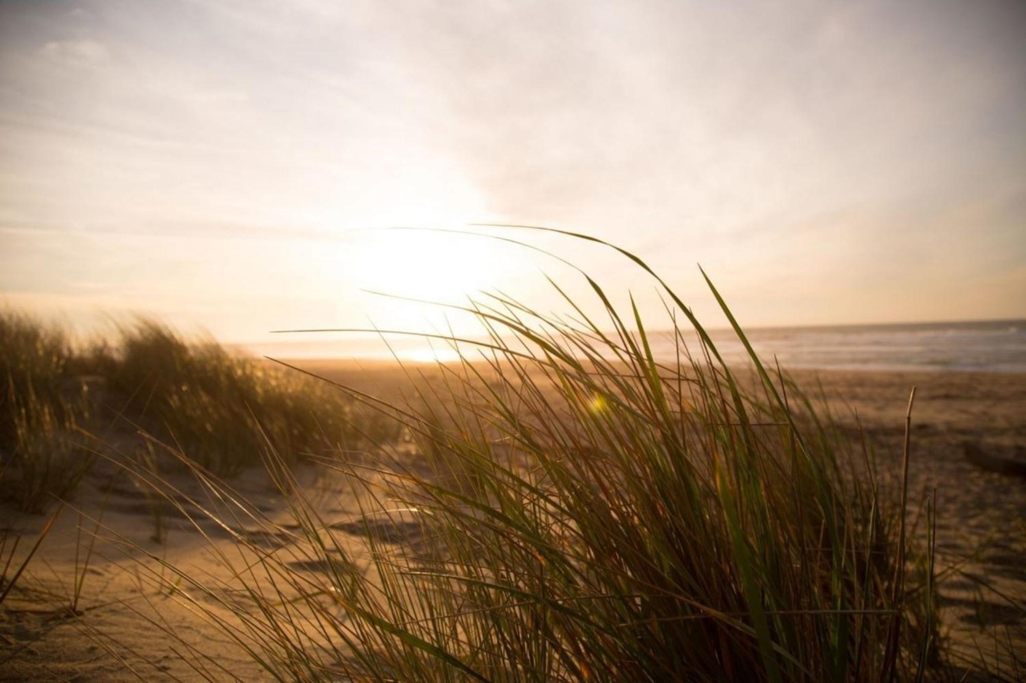 Grosse Nordseewelle Ohne Hund Norden Buitenkant foto